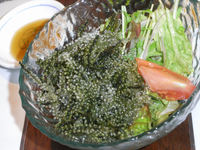 ちゅらさん家のうみぶどう