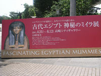 ミイラ展