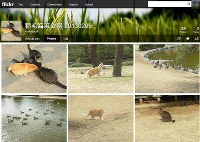 リニューアル後のFlickr