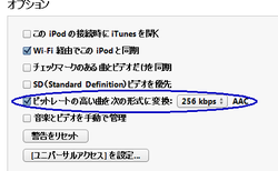 iPod 設定