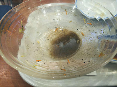 冷やしまぜめん 黒 完食