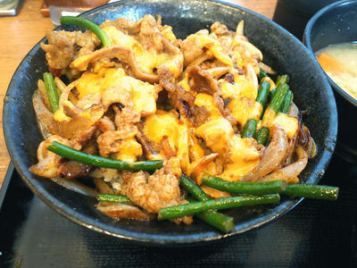 すたみなジャンカル丼