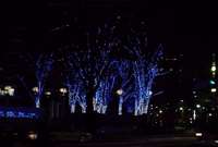 西新宿のイルミネーション