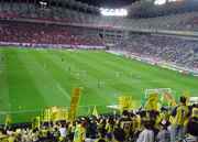 こんな感じの景色です