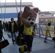 なぜか、ポーズをとってくれました