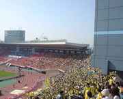 こんな感じの場所から観てました