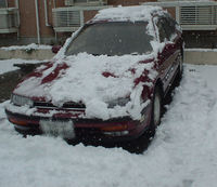 雪がつもりました