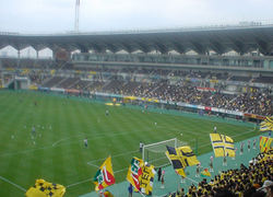 試合前のウォーミングアップ中