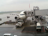 これから乗る飛行機