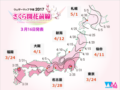 桜開花予想2017