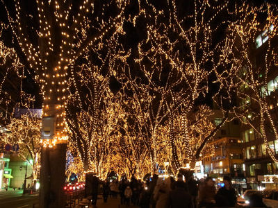 光のページェント その1