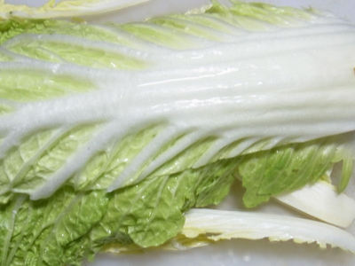 白菜