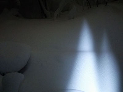 夜の雪