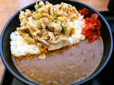 すたみなカレー