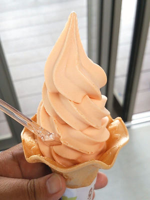 シャンシャイントマトソフト