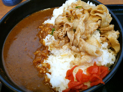 すたみなカレー