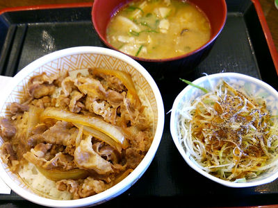 白髪ねぎ牛丼 豚汁セット