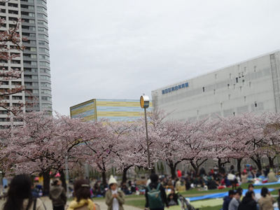 錦糸公園の様子