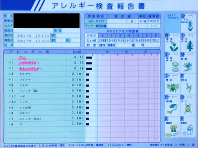 アレルギー検査報告書