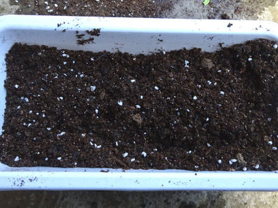 新鮮野菜工房 土をまぜたところ