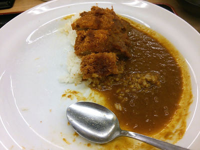 チキンももカツカレー 残り半分