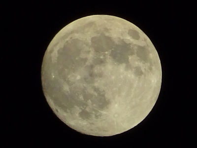 中秋の名月 その1