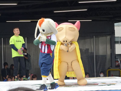 ペッカリーとロップ