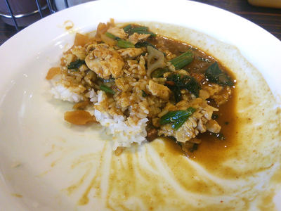 煮込みチキンほうれん草カレー 残り半分