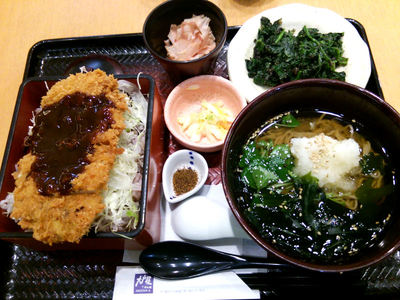 特製ソースチキンかつ重と温蕎麦