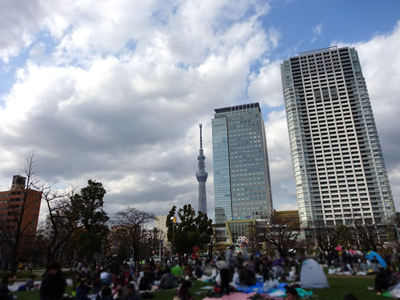 錦糸公園からのスカイツリー