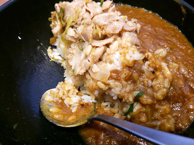 すたみなカレー 残り半分