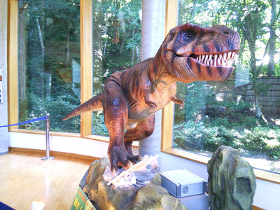 琥珀博物館 恐竜