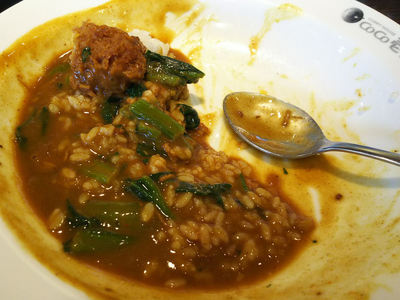 ほうれん草カレー 残り半分