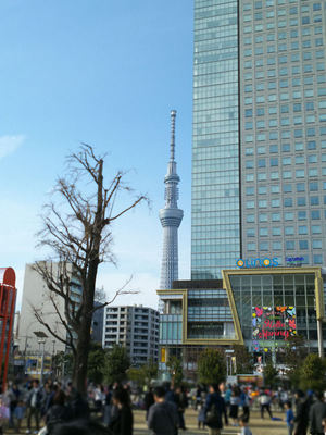 錦糸公園からスカイツリー
