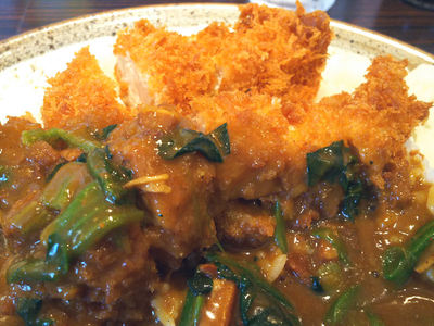 ささみカツアップ