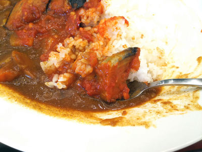 茄子アラビアータカレー 残り半分