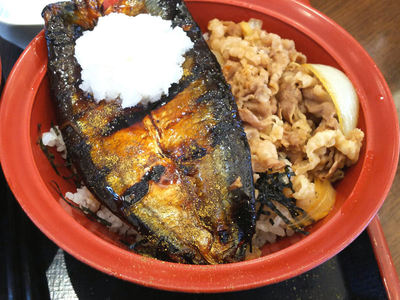 さんま牛 おろしのせ