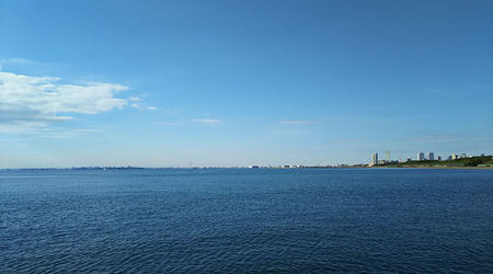 桟橋からの景色