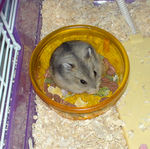 一年前のユウキです