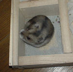 地下室に篭るユウキ