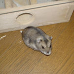 外に出てきたけど、なぜか不機嫌