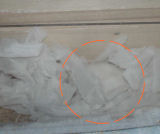 寒い中、野良寝中