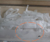 ちょっと潜ってみたり