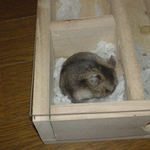 地下室に篭っているユウキ