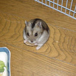 ジーっと見ているユウキ