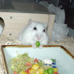 グリーンピースを食べるアイ