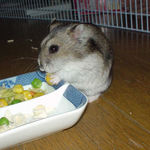 続いて、コーンも食べているユウキです