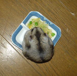 左の頬が変形しています