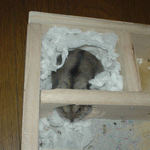 寝床でまったり中