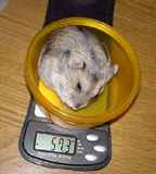 またまた、増えてしまいました。